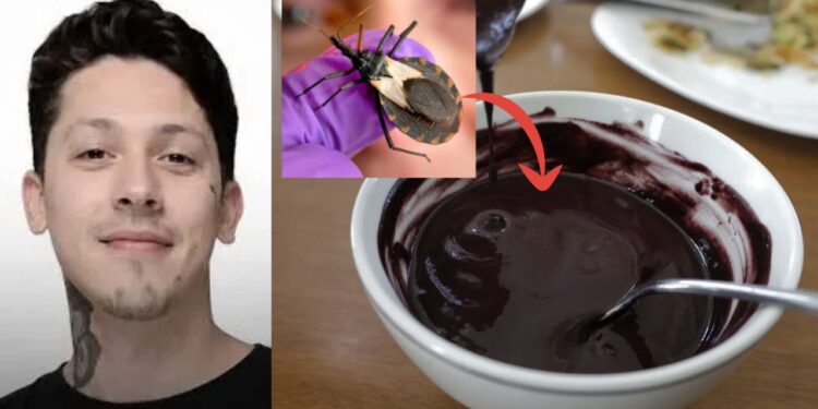 Açaí contaminado com fezes de inseto mata paraense de 26 anos