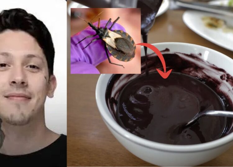 Açaí contaminado com fezes de inseto mata paraense de 26 anos