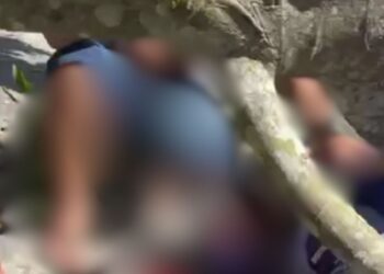 Entregador passa por rua, é atingido por galho e vai parar no hospital em Manaus