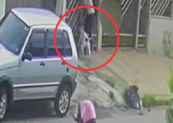 Vídeo mostra pitbull atacando menino de 2 anos ao chegar à casa da avó