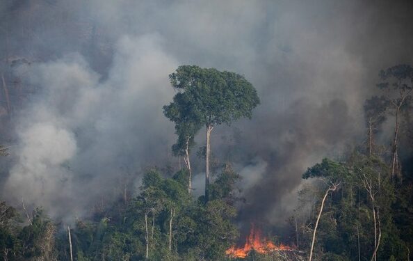 VORCARO E A AMAZÔNIA – Crédito de carbono é esquema bilionário