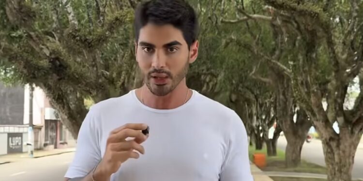 Túnel Verde de Itacoatiara causa um contraste com a arborização e limpeza urbana de Manaus