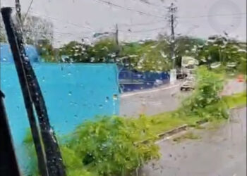 Tombada pelo segundo dia; carreta causa transtorno no Distrito