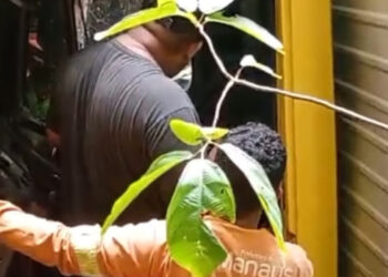 Motorista sobrevive após caminhão cair em ribanceira na Reserva Ducke. VÍDEO