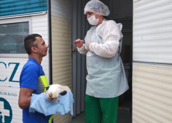 Agendamento para castração gratuita abre nesta quinta (15)