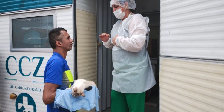 Agendamento para castração gratuita abre nesta quinta (15)