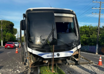 Ônibus de rota invade canteiro e atinge poste na Av.Coronel Teixeira