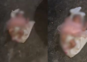 Recém-nascida é abandonada pelos pais 'cracudos' em Manaus