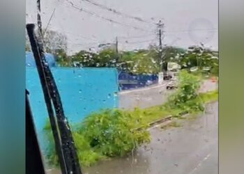 Tombada pelo segundo dia; carreta causa transtorno no Distrito