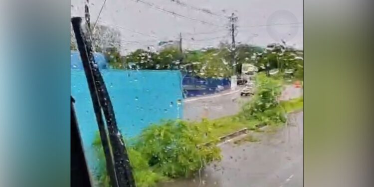 Tombada pelo segundo dia; carreta causa transtorno no Distrito