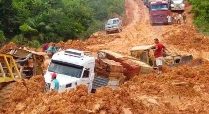 Estudo sobre vírus mortal na BR-319 é nova fake news contra pavimentação