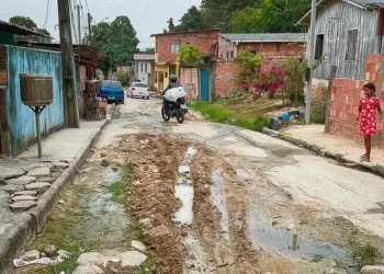 Rua Francisca Mendes está entregue às baratas