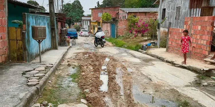 Rua Francisca Mendes está entregue às baratas