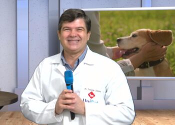 Pet É Família: Porque Eles Também Merecem Atenção!