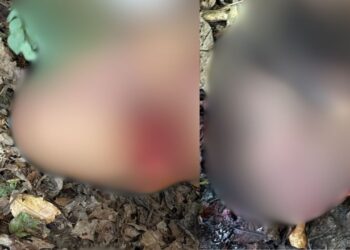 Macabro: Decapitado, homem é encontrado morto em área de mata no Amazonas; veja