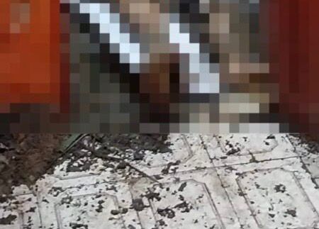 Encontrado corpo de idoso enterrado em kitnet – Suspeito é detido pela família