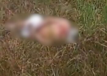 Sexta-feira 13 sangrenta – Encontrado corpo com pés e mãos amarrados após madrugada de tortura