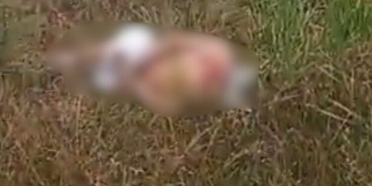 Sexta-feira 13 sangrenta – Encontrado corpo com pés e mãos amarrados após madrugada de tortura