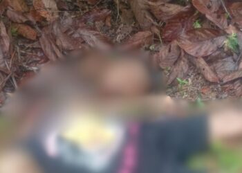 Dec4pit4d0: Corpo é achado com a cabeça cortada no interior do Amazonas; imagem forte