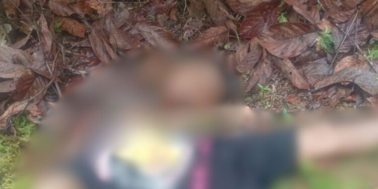 Dec4pit4d0: Corpo é achado com a cabeça cortada no interior do Amazonas; imagem forte