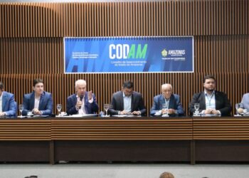 Reunião do Codam aprova investimentos de R$ 800 milhões em projetos industriais