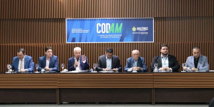 Reunião do Codam aprova investimentos de R$ 800 milhões em projetos industriais