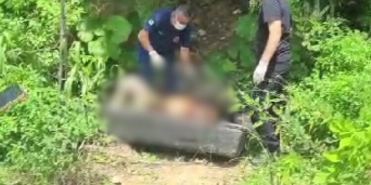 Em estado avançado de decomposição, corpo é encontrado no bairro Japiim; vídeo
