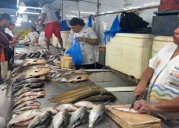 Quaresma aquece venda de peixe nas feiras e mercados da cidade