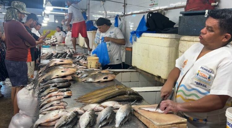 Quaresma aquece venda de peixe nas feiras e mercados da cidade