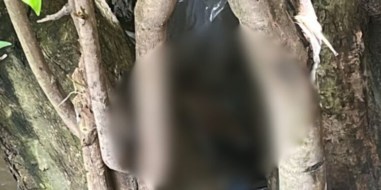 Encontradas pernas decepadas no Centro