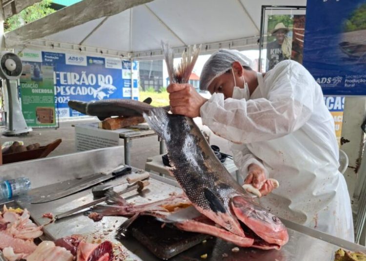 Feirão do Pescado terá edição especial em dois pontos de Manaus