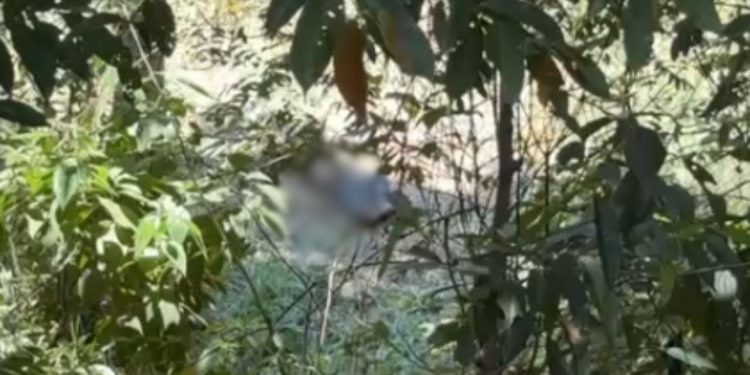 Corpo em decomposição com pés amarrados é encontrado em terreno no Distrito