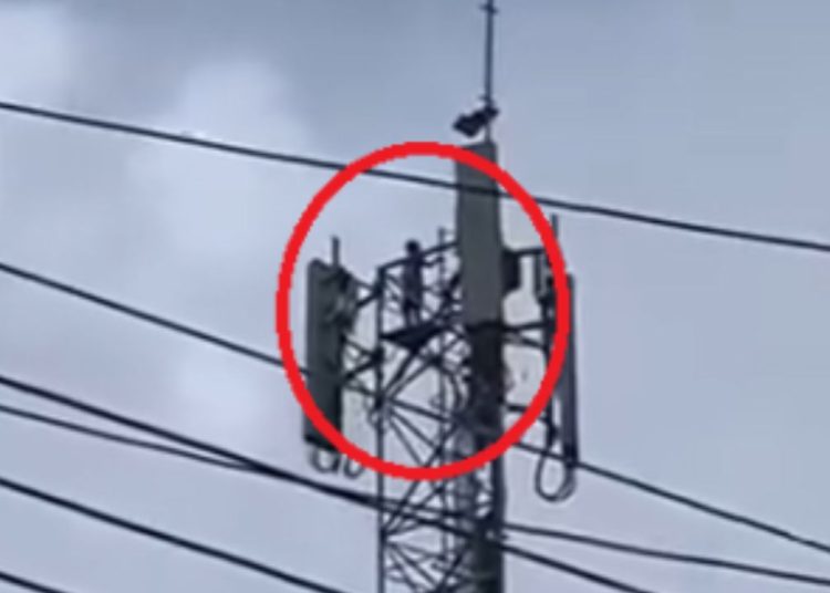 Perigoso: vídeo mostra crianças no alto de torre de 30 metros em Maués