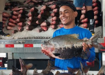 Mais de mais de 470 toneladas de peixe na Semana Santa