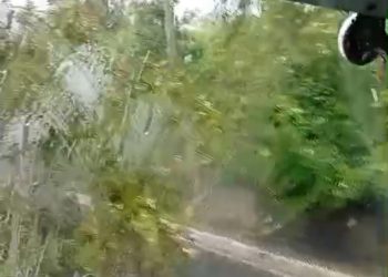 VÍDEO – Queda de árvore bloqueia Av. do Turismo e gera transtornos no Tarumã