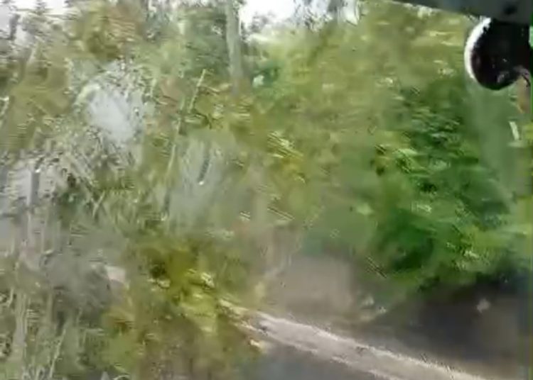 VÍDEO – Queda de árvore bloqueia Av. do Turismo e gera transtornos no Tarumã