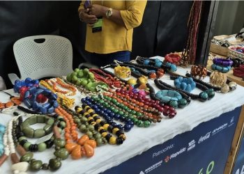 Área orgânica na ExpoPIM 4.0