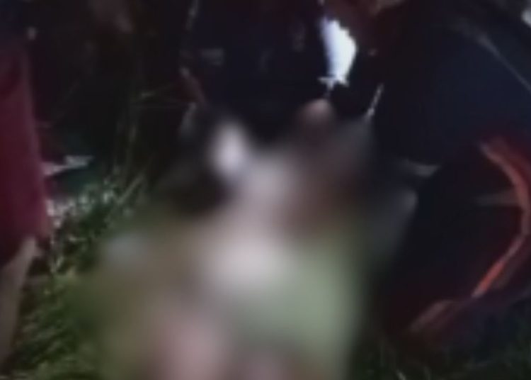 Na Torquato Tapajós, motociclista perde controle, bate em estrutura e morre