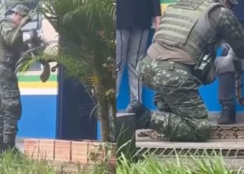 Vídeo: Jiboia é encontrada em escola na Cidade Nova e resgatada pela PM