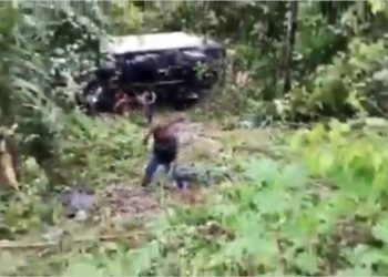 Caminhão desgovernado cai em área de mata no Distrito Industrial 