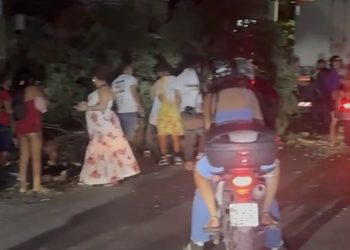 Escapou da morte após caminhão colidir em árvore e cair em pedestre. VÍDEO