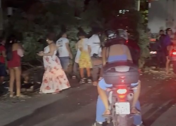 Escapou da morte após caminhão colidir em árvore e cair em pedestre. VÍDEO