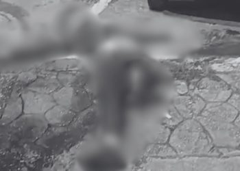 Após entrar na contramão, motociclista fica com perna esmagada em Manaus