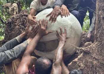 Mamirauá – As esferas misteriosas da Amazônia