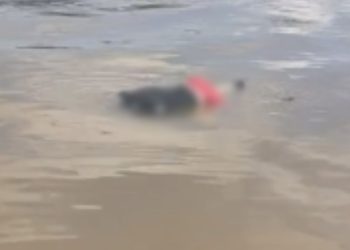 Veja: Corpo de homem é encontrado em comunidade ribeirinha de Coari