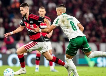 Palmeiras arrasa Flamengo e dispara na liderança do Brasileirão