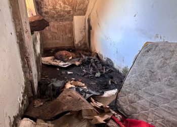 Esqueleto humano encontrado no prédio dos Correios