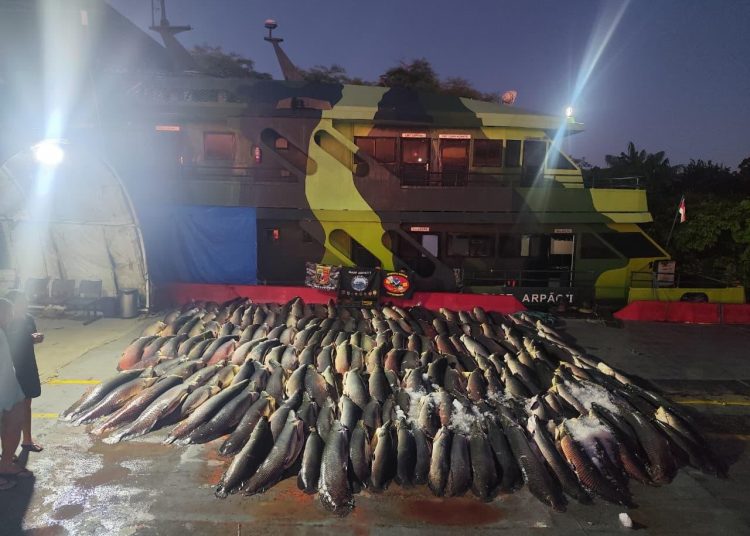PM apreende 26 toneladas de peixe ilegal