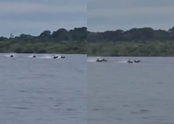 ‘Fórmula 1’ no rio: corrida de rabetas no interior do Amazonas viraliza; vídeo