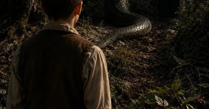 A Mulher-Serpente da Comunidade do Cuieiras